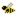 Austere Bee