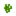 Balsa Pollen
