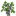 Balsa Sapling