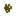 Desert Acacia Pollen
