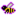 Diligent Bee