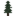 Fir Sapling