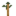 Giant Sequoia Sapling
