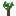 Lemon Sapling