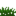 Medium Grass