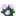 Peony