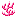 Pink Coral