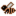 Poultry Bee