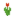 Red Tulip