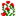 Rose Bush