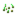 Seeds