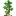 Sipiri Sapling