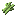 Sugar Canes