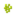 Sugar Maple Pollen