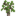 Sweet Chestnut Sapling