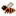 Timely Bee