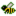 Tropical Bee
