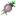 Turnip