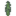 White Popular Sapling