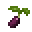 Blackberry Seed