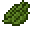 Cactus Green