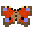 Grid Peacock.png