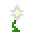 Pure Daisy