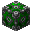 Xychoridite Shield